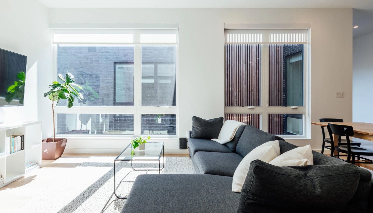 OSLO co-living apartments in Washington, D.C. Atlas interior furnished living space